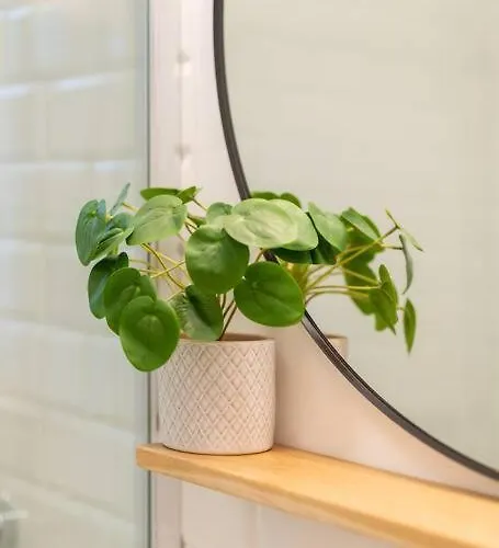 New Confortable Beautifull 公寓 皮兰